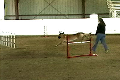 jumpers