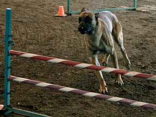 jump 3