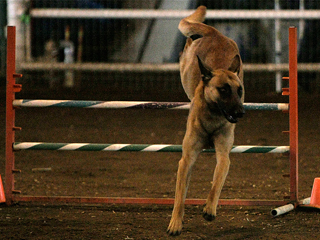 jump