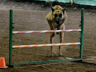 jump 5