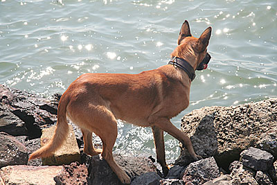 water look out