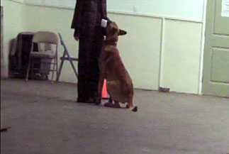 heeling