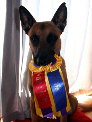 ribbons
