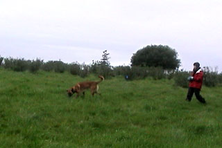 track knowland
