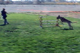 jumping 11/24/07