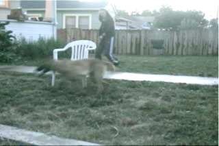 obedience 6/22/07