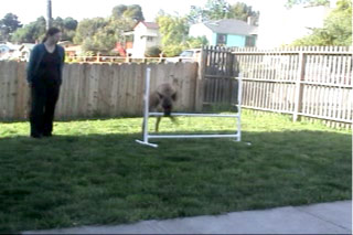 jump round clock