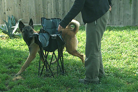 around chair