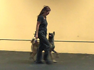 heeling 11m